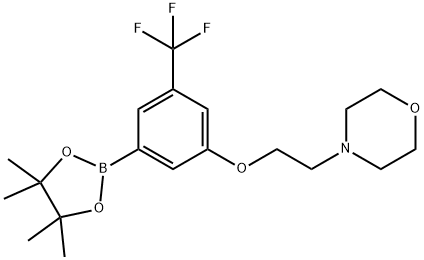 4-{2-[3-(Tetramethyl-1,3,2-dioxaborolan-2-yl)-5-(trifluoromethyl)phenoxy]ethyl}morpholine Struktur