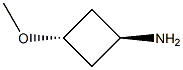 trans-3-MethoxycyclobutanaMine Struktur