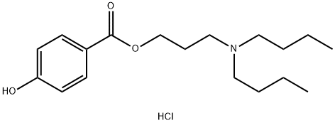 3-(dibutylaMino)propyl 4-hydroxybenzoate (Hydrochloride) Struktur