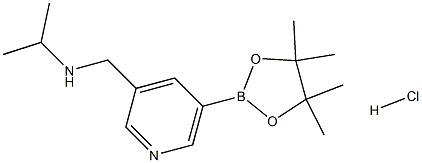 Isopropyl-[5-(4,4,5,5-tetraMethyl-[1,3,2]dioxaborolan-2-yl)-pyridin-3-ylMethyl]-aMine.HCl Struktur