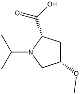 (2S,4S)-1-ISOPROPYL-4-METHOXY-PROLINE Struktur