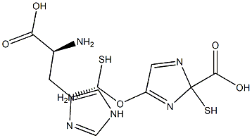 2-Thiolhistidine 2-Thiolhistidine Struktur