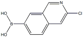 3-chloroisoquinolin-7-yl-7-boronic acid Struktur