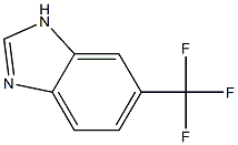 6-TrifluoroMethyl-1H-benzoiMidazole Struktur