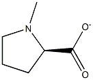 (R)-methylpyrrolidine-2-carboxylate Struktur