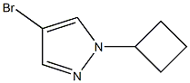 4-BroMo-1-cyclobutyl-1H-pyrazole Struktur