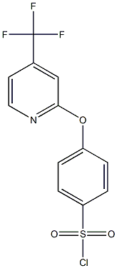 4-(4-TrifluoroMethyl-2-pyridyloxy)benzenesulfonyl chloride, 95% Struktur