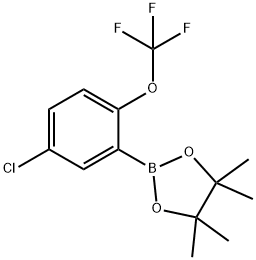 2-(5-Chloro-2-(trifluoromethoxy)phenyl)-4,4,5,5-tetramethyl-1,3,2-dioxaborolane Struktur