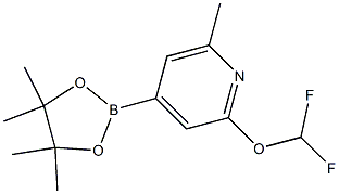 2-(difluoroMethoxy)-6-Methyl-4-(4,4,5,5-tetraMethyl-1,3,2-dioxaborolan-2-yl)pyridine Struktur