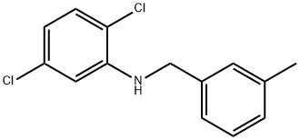 2,5-Dichloro-N-(3-methylbenzyl)aniline Struktur