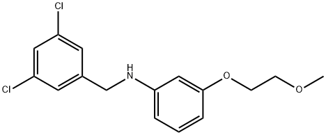 N-(3,5-Dichlorobenzyl)-3-(2-methoxyethoxy)aniline Struktur