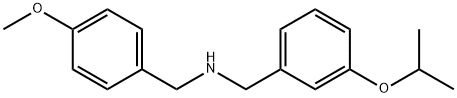 N-(3-Isopropoxybenzyl)(4-methoxyphenyl)methanamine Struktur