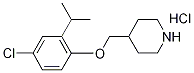 4-[(4-Chloro-2-isopropylphenoxy)methyl]piperidinehydrochloride Struktur