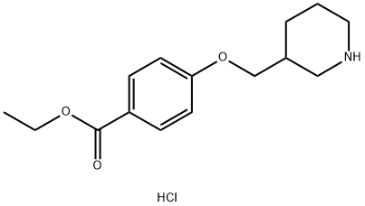 Ethyl 4-(3-piperidinylmethoxy)benzoatehydrochloride Struktur