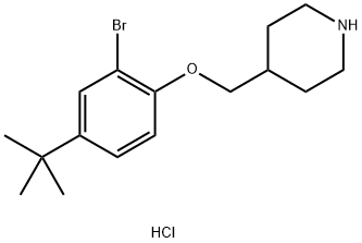 2-Bromo-4-(tert-butyl)phenyl 4-piperidinylmethylether hydrochloride Struktur