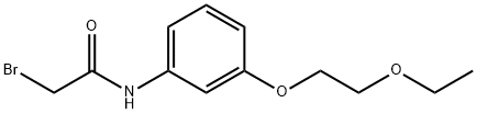 2-Bromo-N-[3-(2-ethoxyethoxy)phenyl]acetamide Struktur