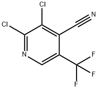 2,3-Dichloro-5-(trifluoromethyl)isonicotinonitrile Struktur