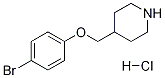 4-[(4-BROMOPHENOXY)METHYL]PIPERIDINE HYDROCHLORIDE Struktur