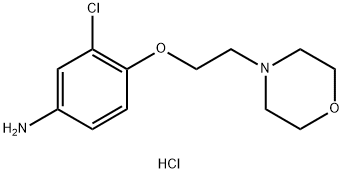 3-CHLORO-4-[2-(4-MORPHOLINYL)ETHOXY]PHENYLAMINEDIHYDROCHLORIDE Struktur