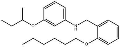 3-(sec-Butoxy)-N-[2-(hexyloxy)benzyl]aniline Struktur