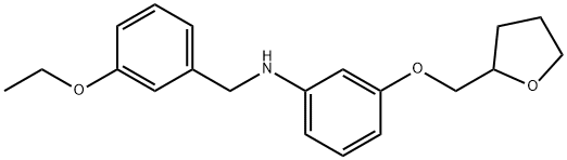 N-(3-Ethoxybenzyl)-3-(tetrahydro-2-furanylmethoxy)aniline Struktur