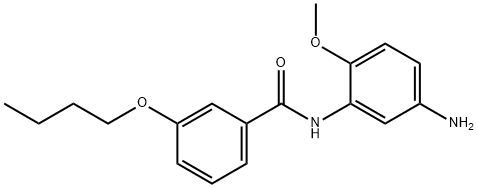 N-(5-Amino-2-methoxyphenyl)-3-butoxybenzamide Struktur