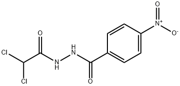 N'-(dichloroacetyl)-4-nitrobenzohydrazide Struktur