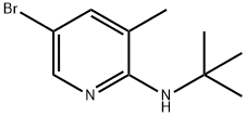 N-(5-Bromo-3-methyl-2-pyridinyl)-N-(tert-butyl)amine Struktur