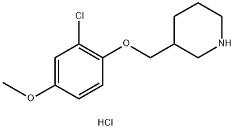 3-[(2-Chloro-4-methoxyphenoxy)methyl]piperidinehydrochloride Struktur