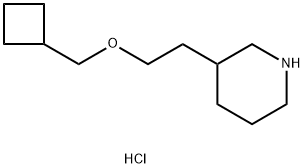 3-[2-(Cyclobutylmethoxy)ethyl]piperidinehydrochloride Struktur