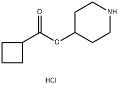 4-Piperidinyl cyclobutanecarboxylate hydrochloride Struktur