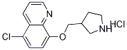 5-Chloro-8-(3-pyrrolidinylmethoxy)quinolinehydrochloride Struktur