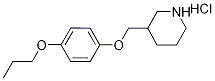 3-[(4-Propoxyphenoxy)methyl]piperidinehydrochloride Struktur