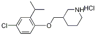 3-[(4-Chloro-2-isopropylphenoxy)methyl]piperidinehydrochloride Struktur