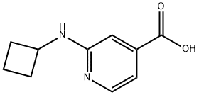 2-(Cyclobutylamino)isonicotinic acid Struktur