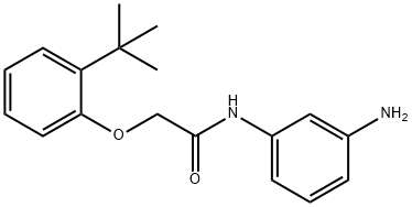 N-(3-Aminophenyl)-2-[2-(tert-butyl)phenoxy]-acetamide Struktur