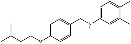 N-[4-(Isopentyloxy)benzyl]-3,4-dimethylaniline Struktur