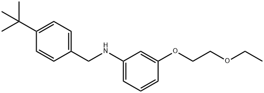 N-[4-(tert-Butyl)benzyl]-3-(2-ethoxyethoxy)aniline Struktur