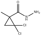 2,2-DICHLORO-1-METHYLCYCLOPROPANECARBOHYDRAZIDE Struktur