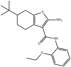 2-Amino-6-tert-butyl-N-(2-ethoxyphenyl)-4,5,6,7-tetrahydrobenzo[b]thiophene-3-car Struktur