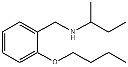 N-(2-Butoxybenzyl)-2-butanamine Struktur