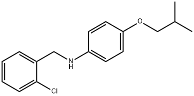 N-(2-Chlorobenzyl)-4-isobutoxyaniline Struktur