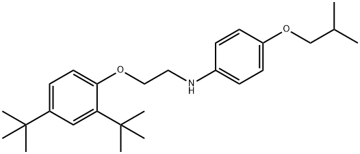 N-{2-[2,4-Di(tert-butyl)phenoxy]ethyl}-4-isobutoxyaniline Struktur