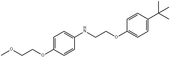 N-{2-[4-(tert-Butyl)phenoxy]ethyl}-4-(2-methoxyethoxy)aniline Struktur