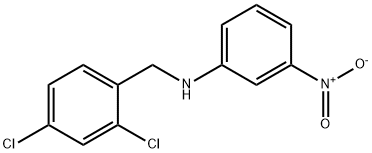 N-(2,4-dichlorobenzyl)-N-(3-nitrophenyl)amine Struktur