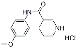 N-(4-Methoxyphenyl)-3-piperidinecarboxamidehydrochloride Struktur