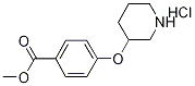 Methyl 4-(3-piperidinyloxy)benzoate hydrochloride Struktur