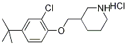 3-{[4-(tert-Butyl)-2-chlorophenoxy]-methyl}piperidine hydrochloride Struktur