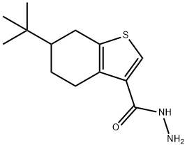 6-TERT-BUTYL-4,5,6,7-TETRAHYDRO-1-BENZOTHIOPHENE-3-CARBOHYDRAZIDE Struktur