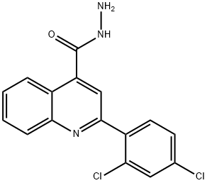 2-(2,4-DICHLOROPHENYL)QUINOLINE-4-CARBOHYDRAZIDE Struktur